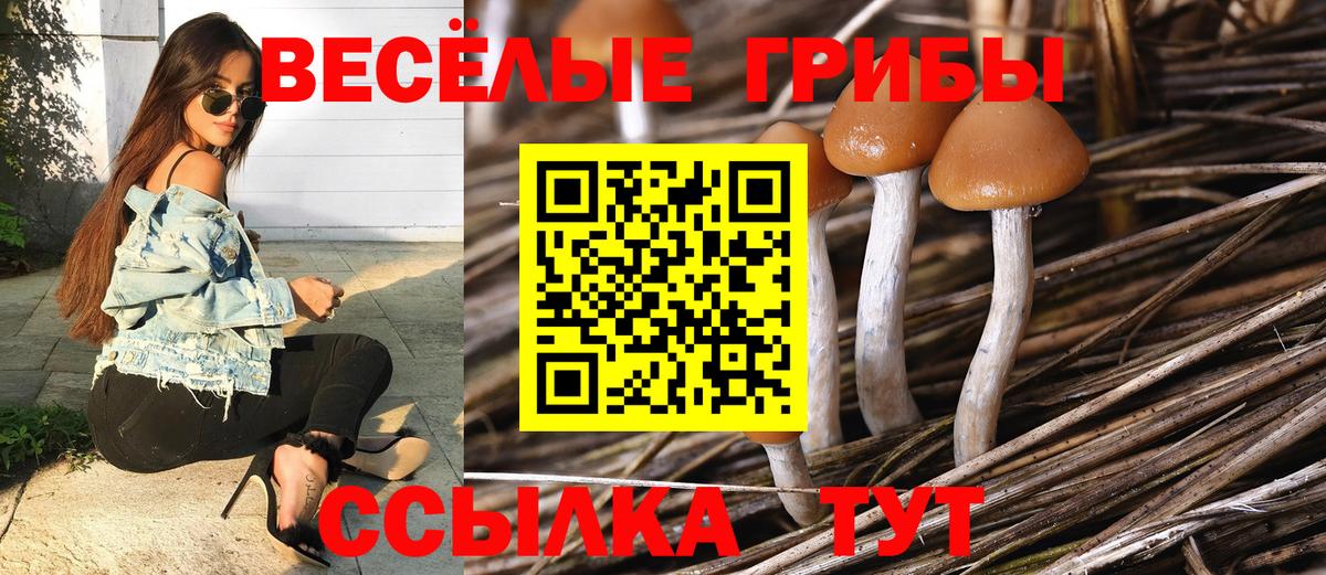 Галлюциногенные грибы GOLDEN TEACHER Армавир