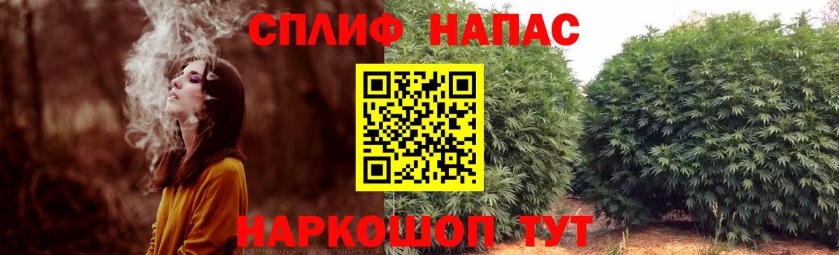 Конопля MAZAR Армавир